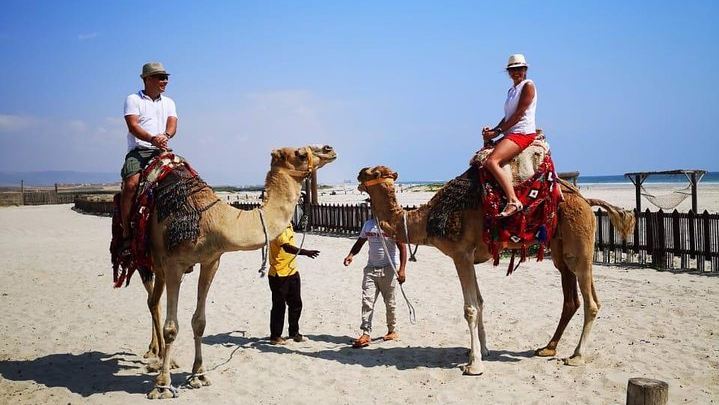 giro in cammello oman